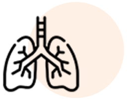 Supports Lung Detox Icon