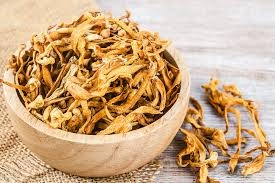 Cordyceps for Oxygen Flow Optimization SEO